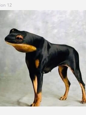 4~13 LIVE SHOW.  81-160. LIVE YOUR LIFE AND DO YOUR BEST 💙🩷💚🖤♥️🧡💛❤️❤️🩵